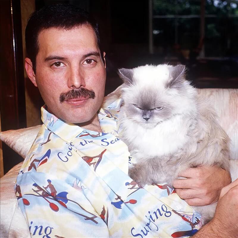 freddie-mercury09
