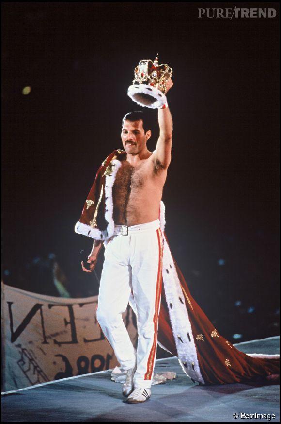 freddie